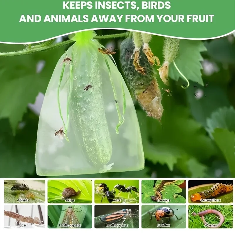 100Pcs Green Protective Bag with Zipper,fruit Trees, Transparent Mesh Barrier for Plants, Perfect for Gardening and Pest Control view 5