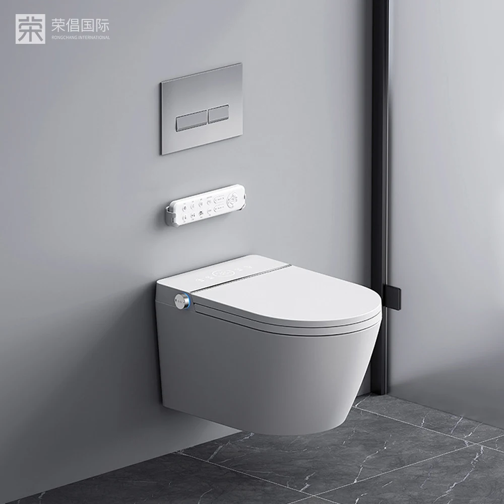 Toilet Wall Mounted Wall Hung Standard Luxury European Bathroom Matt White Hotel Ceramic Toliet