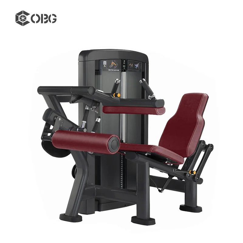 Coofull Multifunctional Standing and Sitting Leg Curl Machine Highly Efficient Leg Muscle Training Equipment view 2