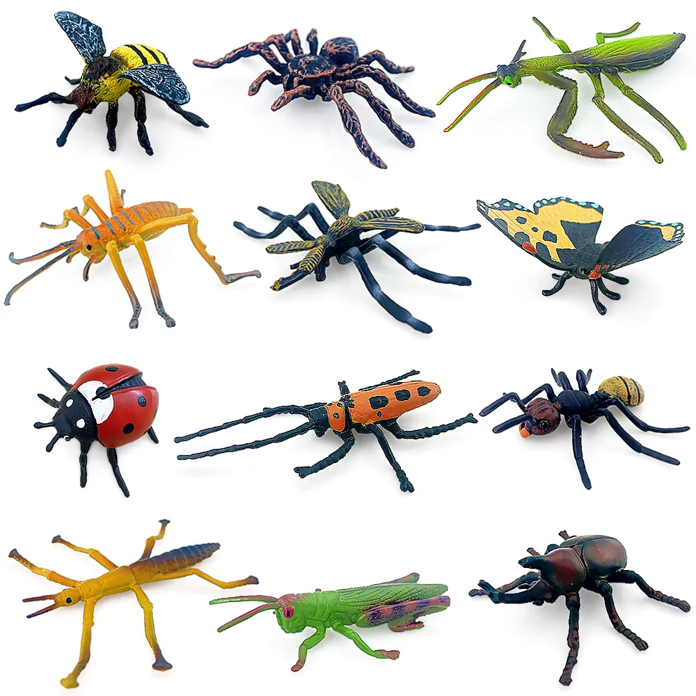 Tropics Insect Animals Model Butterfly Cricket Spider Bee Action Figures Mantis Figurine Miniature Educational Kids Toys Gift