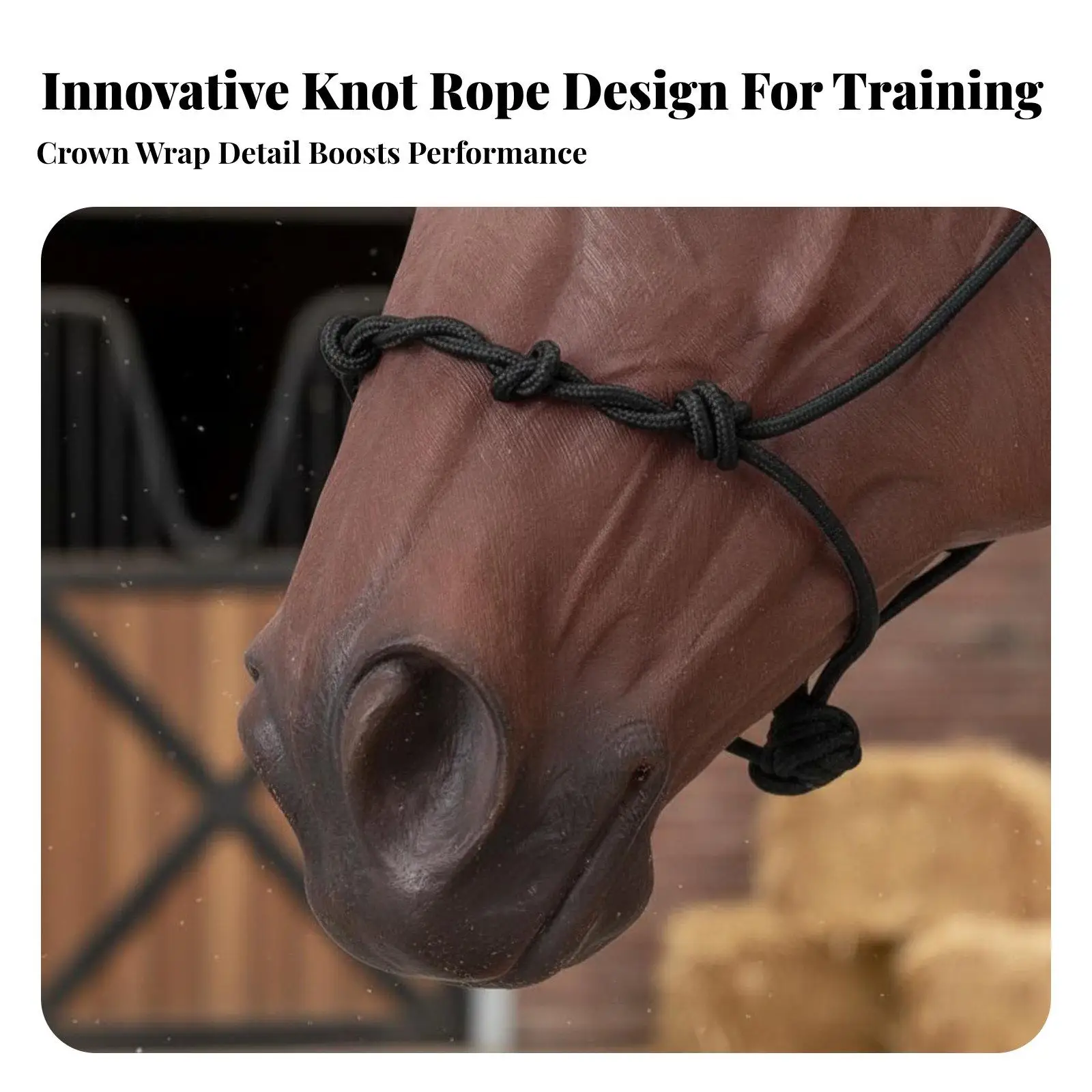 Knotted Horse Training Halter Polypropylene Rope Headcollar for Groundwork Leading Equestrian Gear