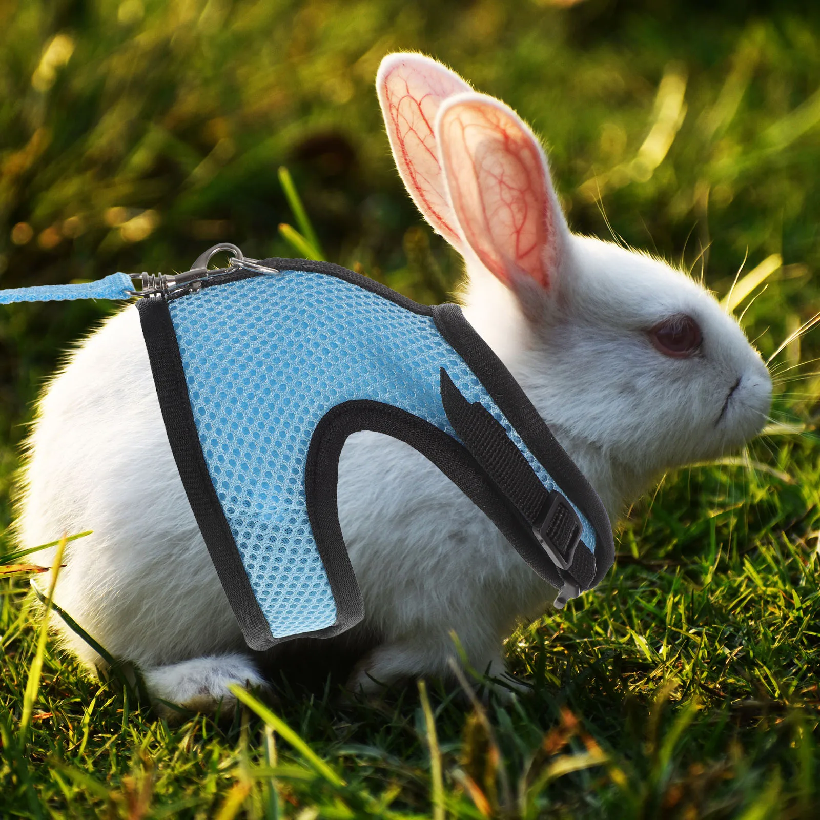 

Adjustable Harness Set Guinea Pig Hamster Rabbit Animal Traction Premium Cloth Durable Light Small For Indoor Use Anti-Lost