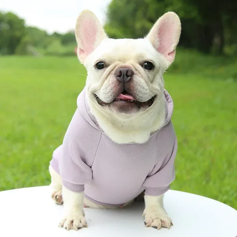 Fashionable and cozy dog hoodie, perfect for the winter months. Keep your stylish pet warm in this chic and adorable hoodie. Des