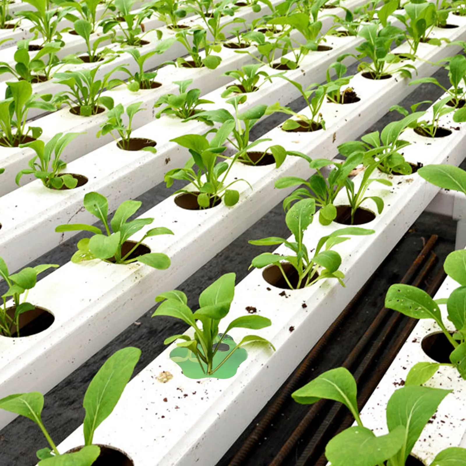 100Pcs Hydroponic Garden Pod Stickers Green Self Adhesive Plant Grow Basket Labels Moss Proof Hydroponic Supplies