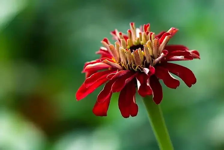 Carbon Fiber LCG Chassis Kit Rahmen Schiene Skid Platte Getriebe Stoßstange Set für Axial SCX10 1/10 RC Crawler Auto DIY Upgrade Teile