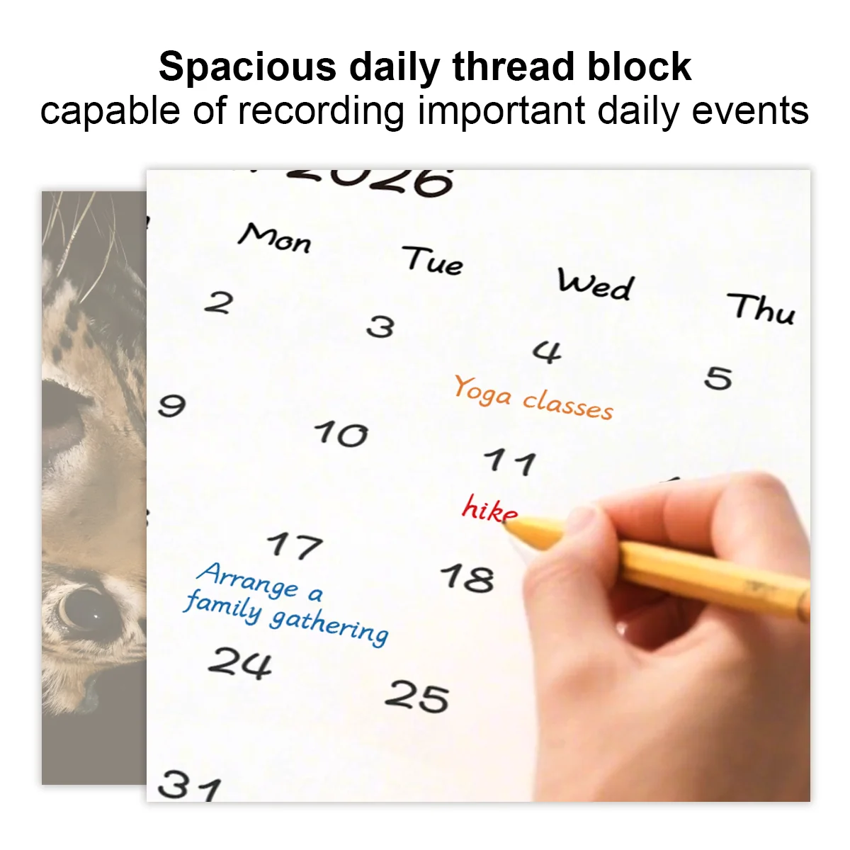 Calendario da parete 2026 Calendario da parete mensile da appendere Design animale Calendario mensile per agenda familiare da 12 mesi per camera da letto