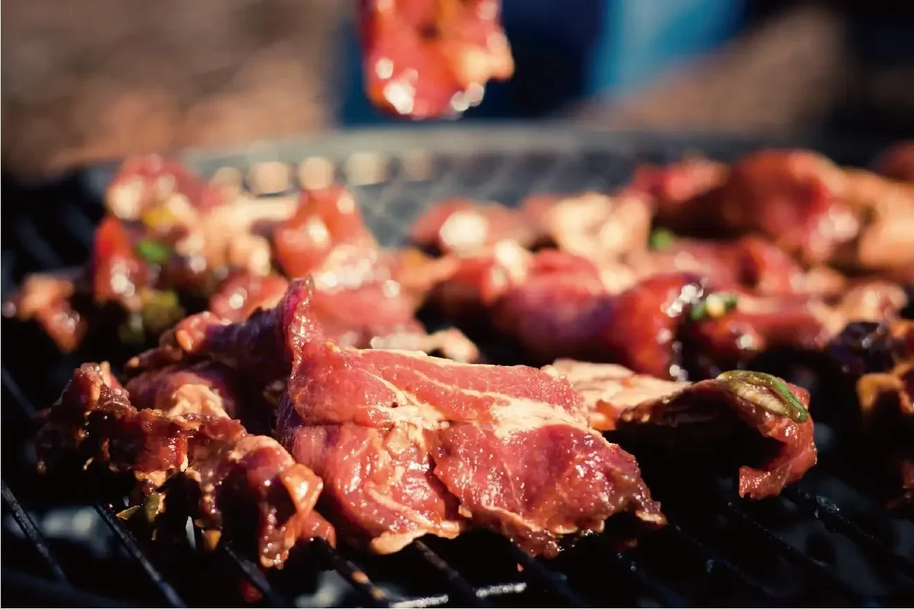 Bene Casa Caja Asadora Barbacoa de pozo grande Asador de cerdos portátil