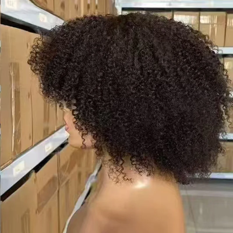 

250% Density Afro Kinky Curly 100% Human Hair Full Machine Short Curly Wigs Brazilian Virgin Hair For Black Women Soft and Silky