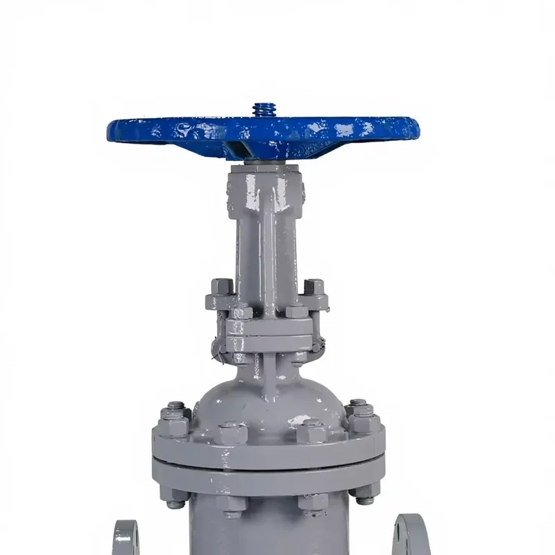 Factory Price Manual High Temperature Base Rising Stem Flanged Gate Valve Soft Seal WCB Resilient Seated