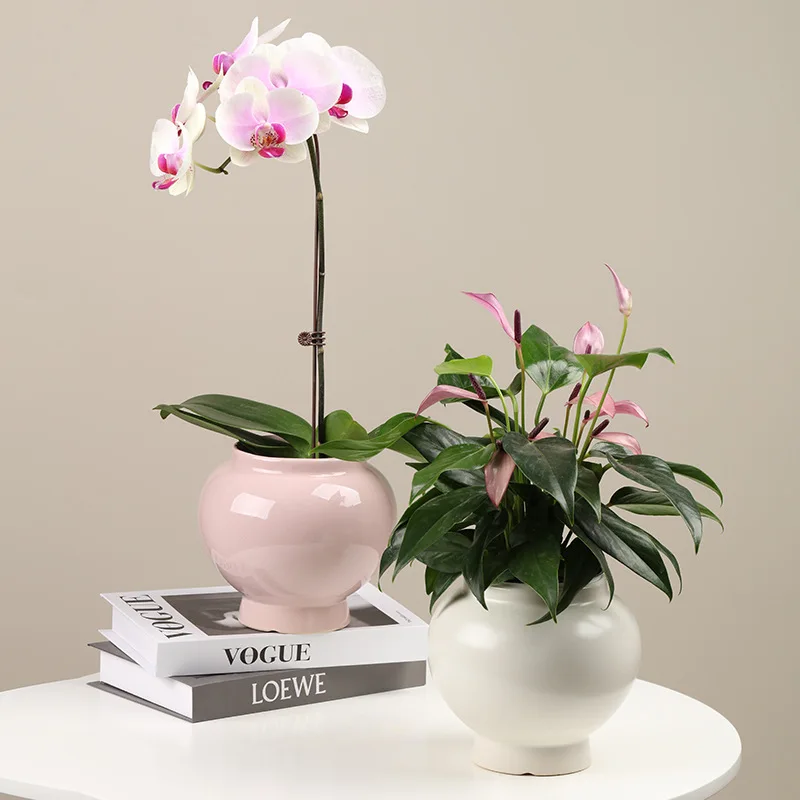 

Orchid Ceramic Pot Simple Gardening Planter High Aesthetic Balcony Flowerpot