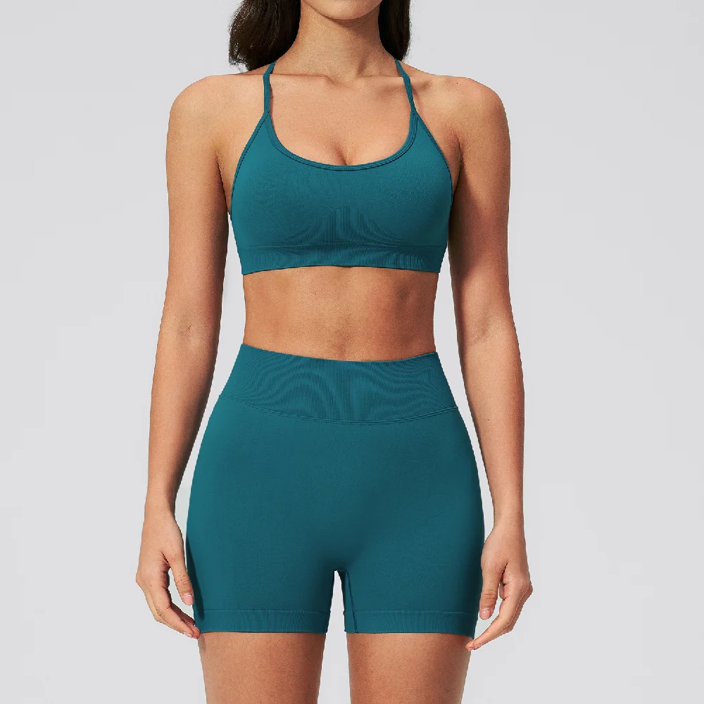 Seamless 2PCS Yoga Set Women Tracksuit Gym Clothes Fitness Athletic Wear Shockproof Sports Bra High Waist Cycling shorts Outfits