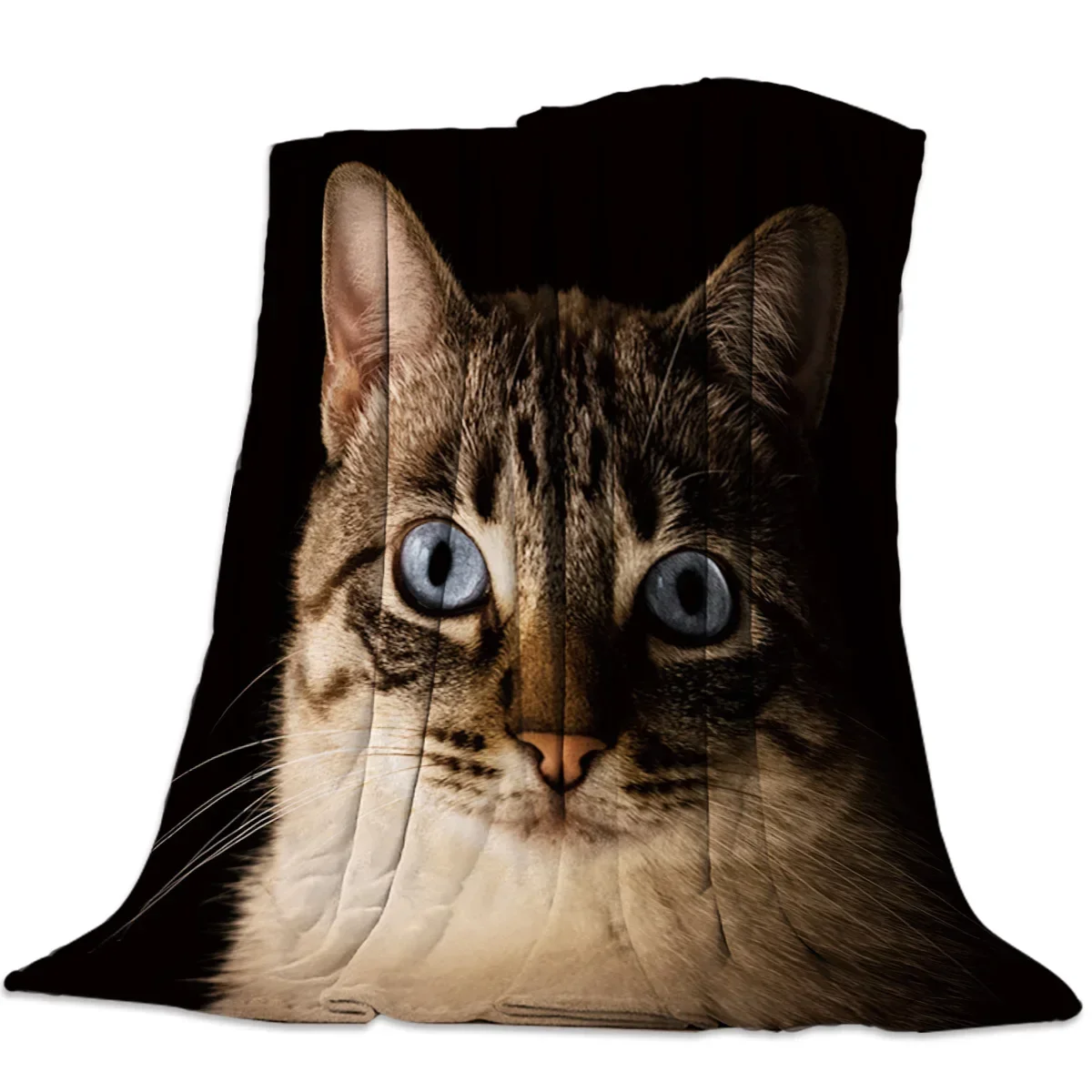 القط الأسود مع الشعر غامض الفانيلا بطانية ل أريكة تتحول لسرير المحمولة لينة رمي البطانيات أفخم المفارش لغرفة النوم أريكة الأريكة #1