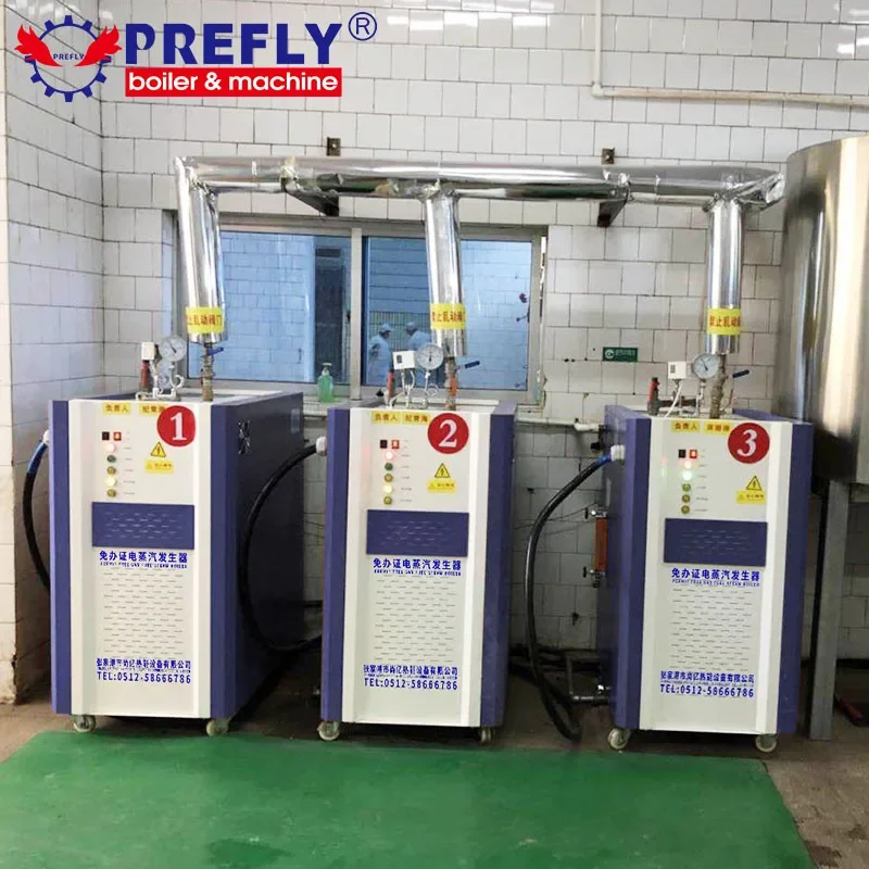 24kw Small Electric heating steam boiler price steam generator for Laundry