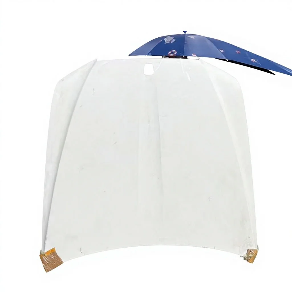 The New Engine Hood of the forGhost Model 51717495363