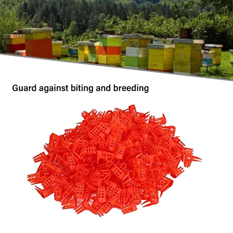 20 pz Regine Gabbie Apertura In Plastica Regine Gabbia Protezione Cellulare Coperture Apicoltura Allevamento Tazza