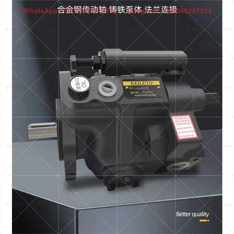 Adapt to replace V15A/V18A/V23A/V38A/V50A oil lifting plunger pump 1/2/3/4-R10X plunger