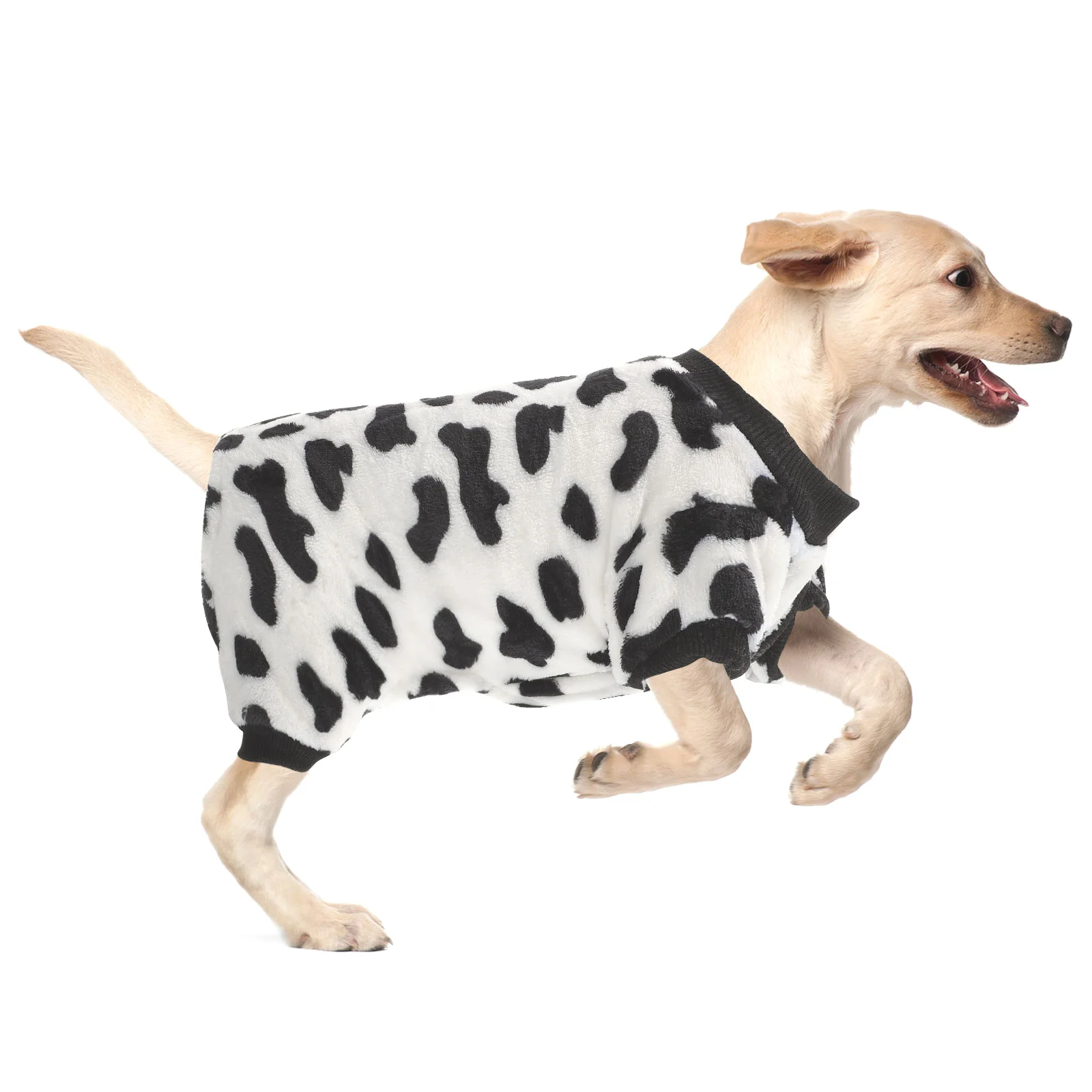 

1Pcs Pet Sleepwear Elastic Corgi Dog Clothes Soft Breathable Comfortable Home Leisure Costume Black White