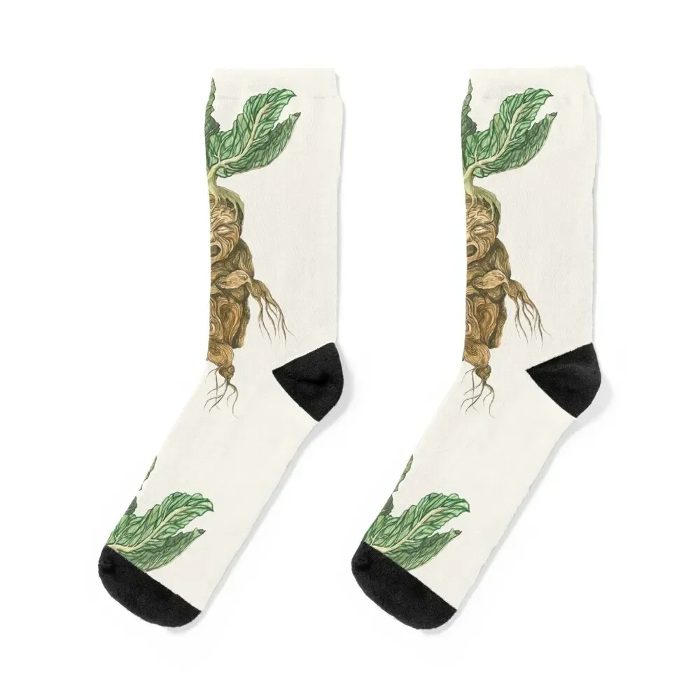 

Baby Mandrake Socks Christmas retro luxe Running Socks Girl Men's set Soccer floral shoes Socks Men's Women's