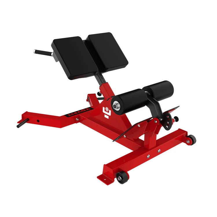 2024 Best selling commercial gym Strength training fitness equipment 45 DEGREE BACK EXTENSION/Commercial Gym Roman Chair