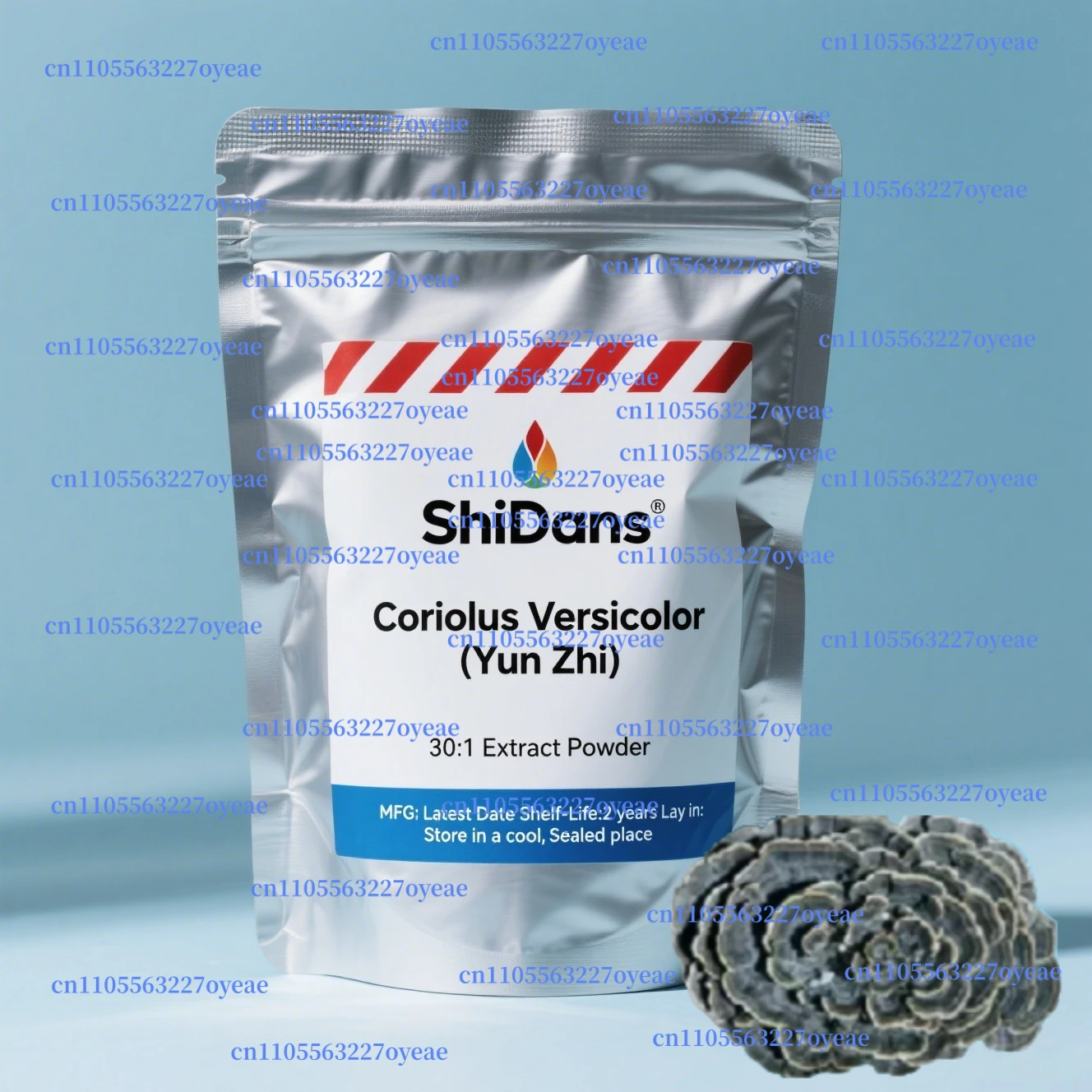 

Customized Turkey Tail Yunzhi Extract 30:1 Proportion Packaging Bulk Out Packing Aluminum Foil Bag