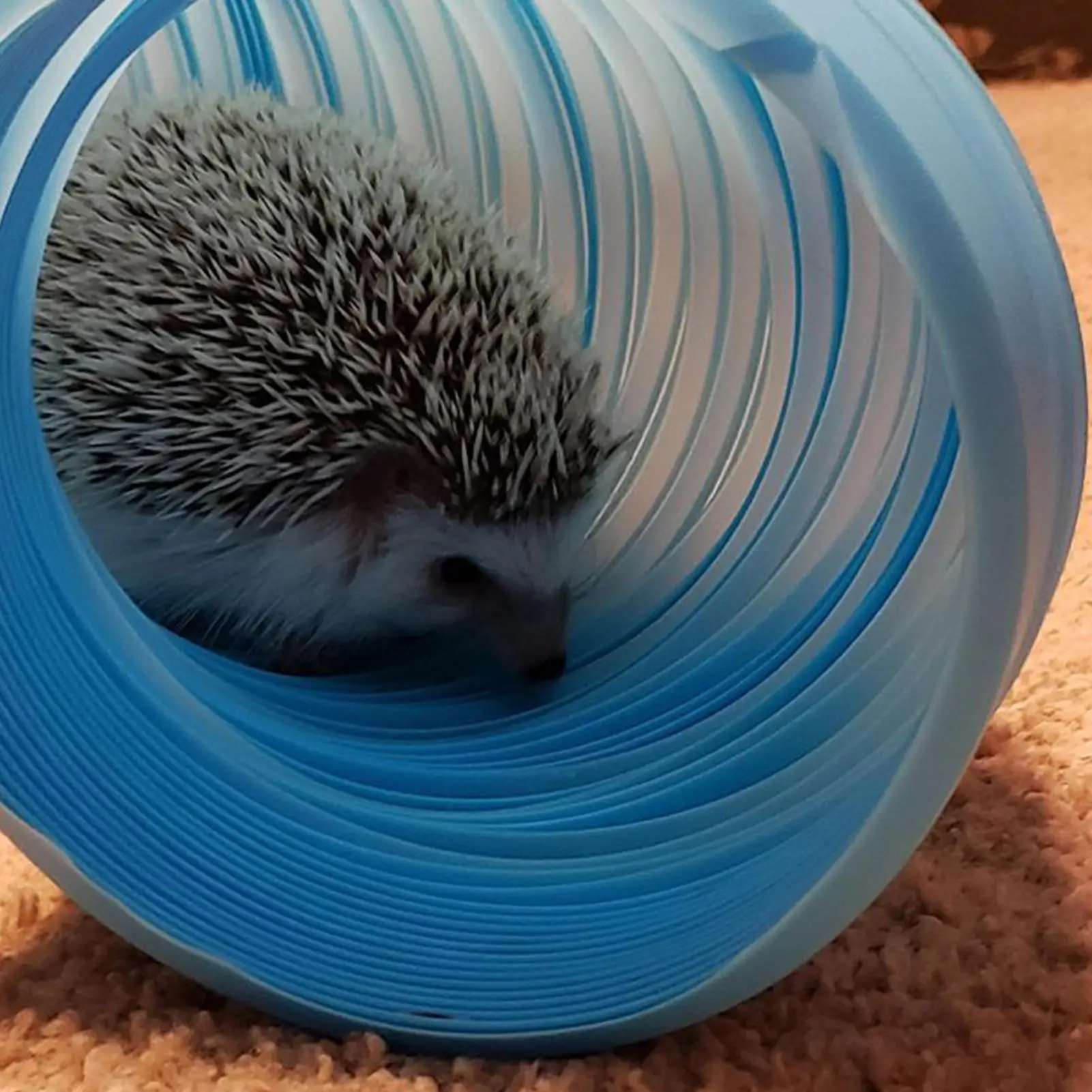 

Игровой туннель для хомяков, выдвижной игровой туннель для мелких животных, компактные жевательные игрушки для мелких животных, ежиков, шиншилл