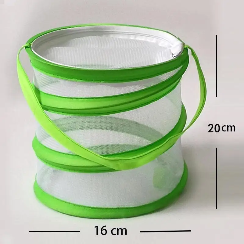 Tragbarer Zusammenklappbarer Schmetterlings-Habitat-Käfig Belüftetes Lehrreiches Insektennetz Atmungsaktives Schmetterlingsnetz für Klassenzimmer – Detail 9