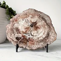 Natural Wood Stone Crystal Slice Petrified Wood Slice with Tree Ring Patterns for Home Decor Grounding Energy Specimen Healing 6