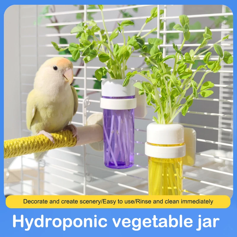 Bird Parrot Feeder Cage Vegetable Holder Preservation Jar Cage Accessories Hanging Basket Container Toys Budgie Cage Supplies