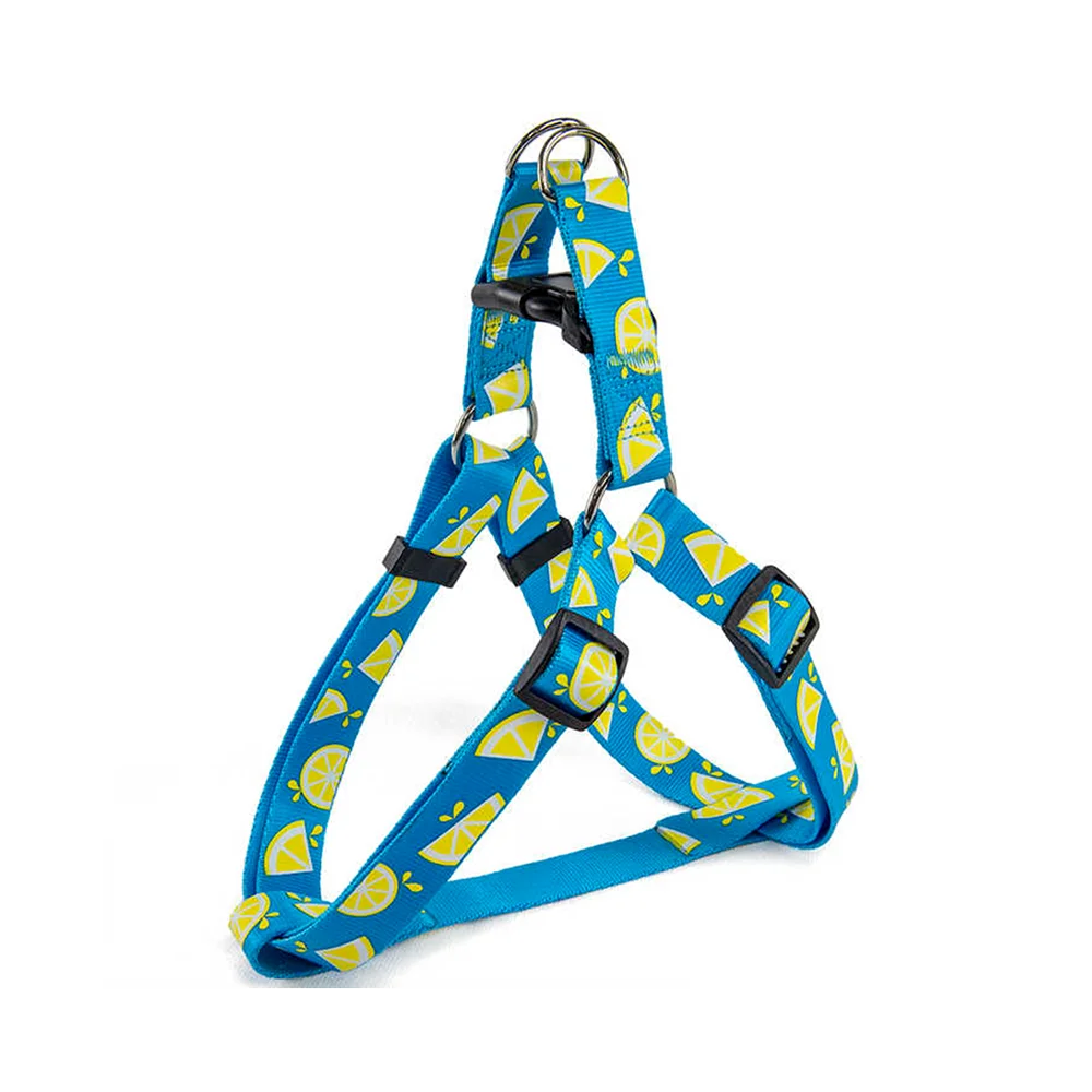 All For Paws Dog Harness For Small Large Dogs Blue Lemon Printed Nylon Adjustable Vest Outdoor Walking Running Dog