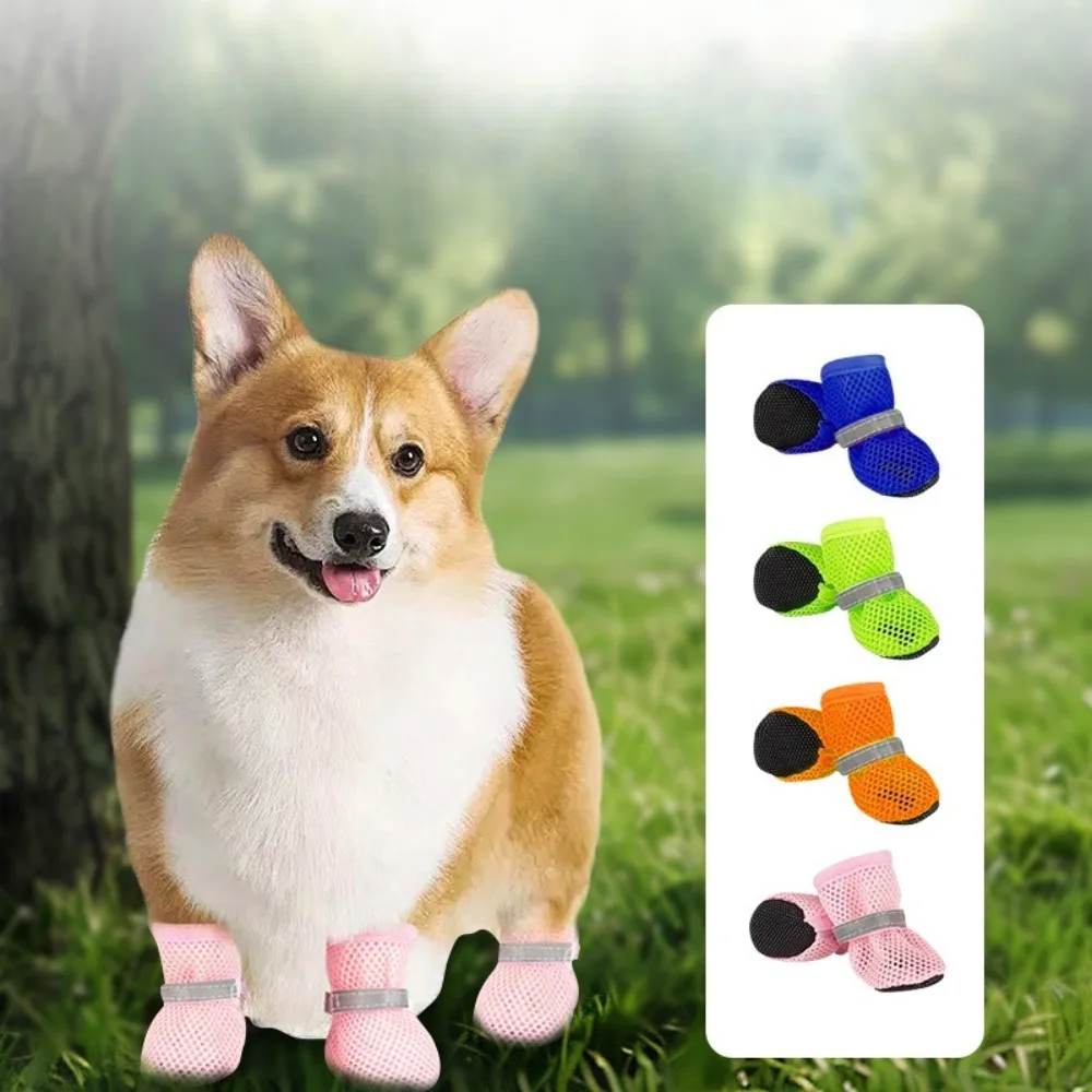 #33 Puppy Boots Ranking List in 2026