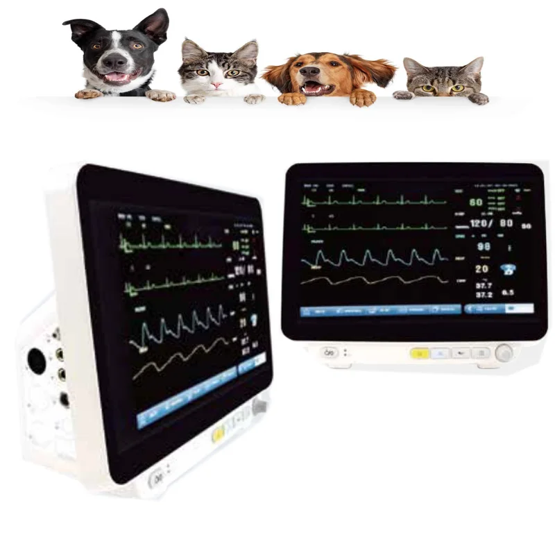 

Animal Pet Hospital Monitoring Workstation Veterinary Multi-parameter Multi-function Dual-channel IBP ECG Monitor VM14PRO
