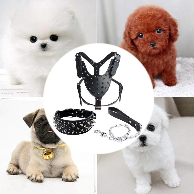 Spiked Collar Set Gothic Puppies Photo Props Outdoor Indoor