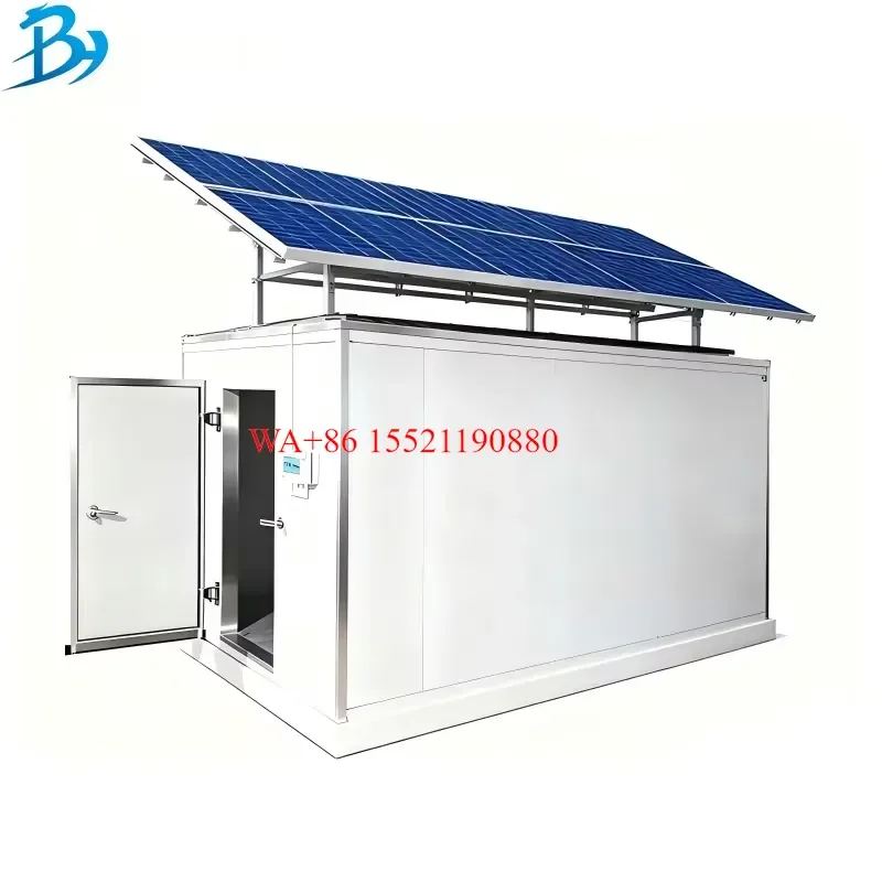WMWMNU for Solar Cold Room Container Off Grid Power 40ft Storage System for Fish and Meat