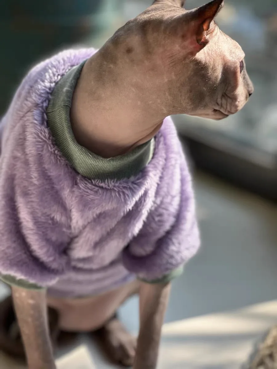 Cat Clothing Warm Sweater for Kittens Dogs Winter Short Sleeves Soft Coat For Devon Rex Holiday Costumes for Sphynx Cat