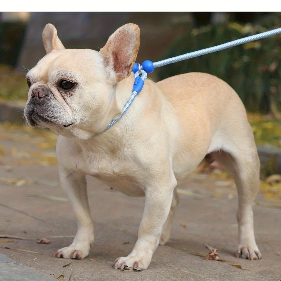 150cm Hundetrainingsleine, Leichtes Nylon-Seil, Verstellbares P-Ketten-Halsband für Kleine und Mittelgroße Hunde, Spaziergangleine, Haustierzubehör