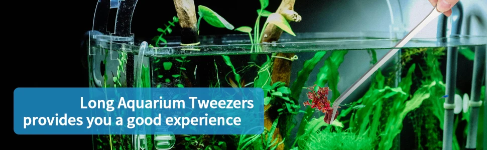 1pc Gerade/Ellenbogen Edelstahl Tank Pinzette Zangen Aquarium Werkzeug Aquarium Wasserpflanzen Pinzette Clip für Reinigung werkzeug – Detail 1