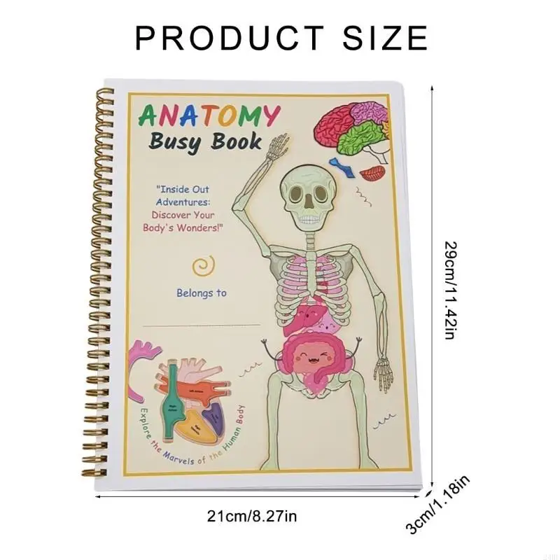 Pratico Anatomia umana Libro occupato portatile per bambini Guida completa ai sistemi del corpo per studenti Uso quotidiano