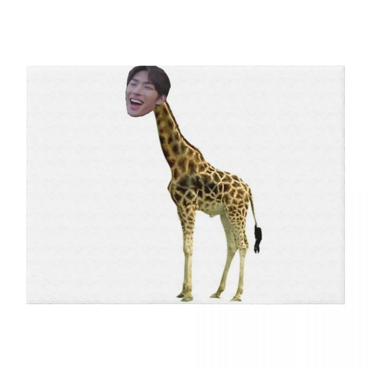 

Mingi Giraffe Throw Blanket Sofa Throw Moving Large Tourist Blankets
