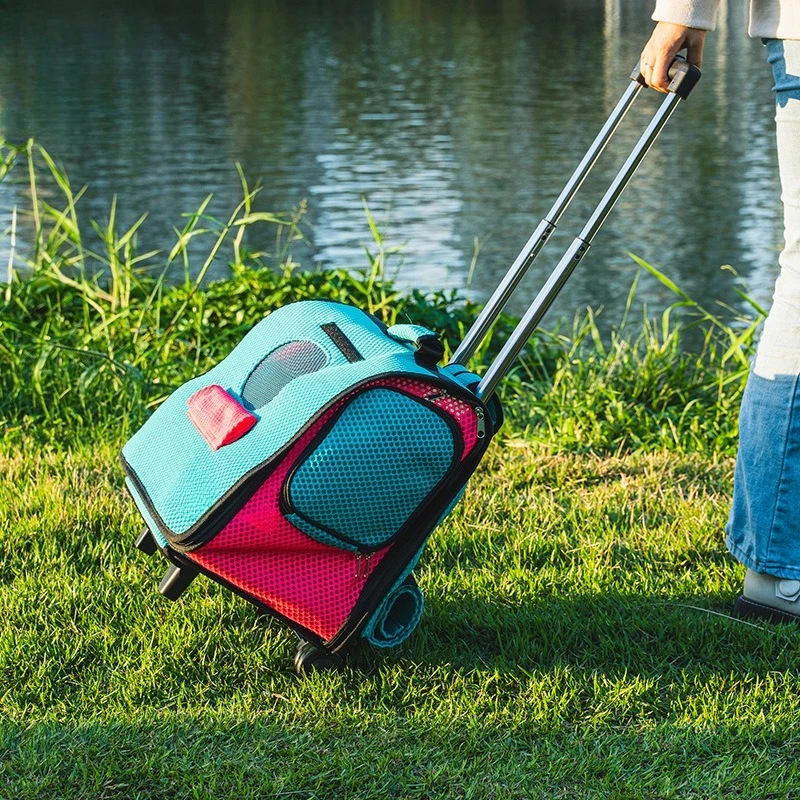 Foldable portable trolley case for cat bag and dog backpack