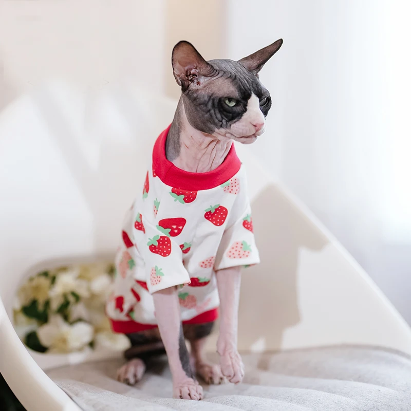 Cute Sphinx Cat Vest Clothes Winter Kittens Costume Pet Hoodies For Sphynx Small Dog Coat With Strawberry Pattern Autumn Spring