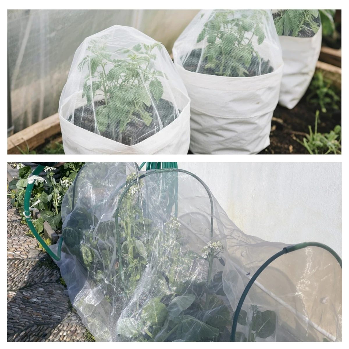 2 Pack 6.5x10ft Garden Netting Ultra Fine Mesh Plant Covers, Bird Barrier Screen for Vegetables Fruits Flowers Bed Protection