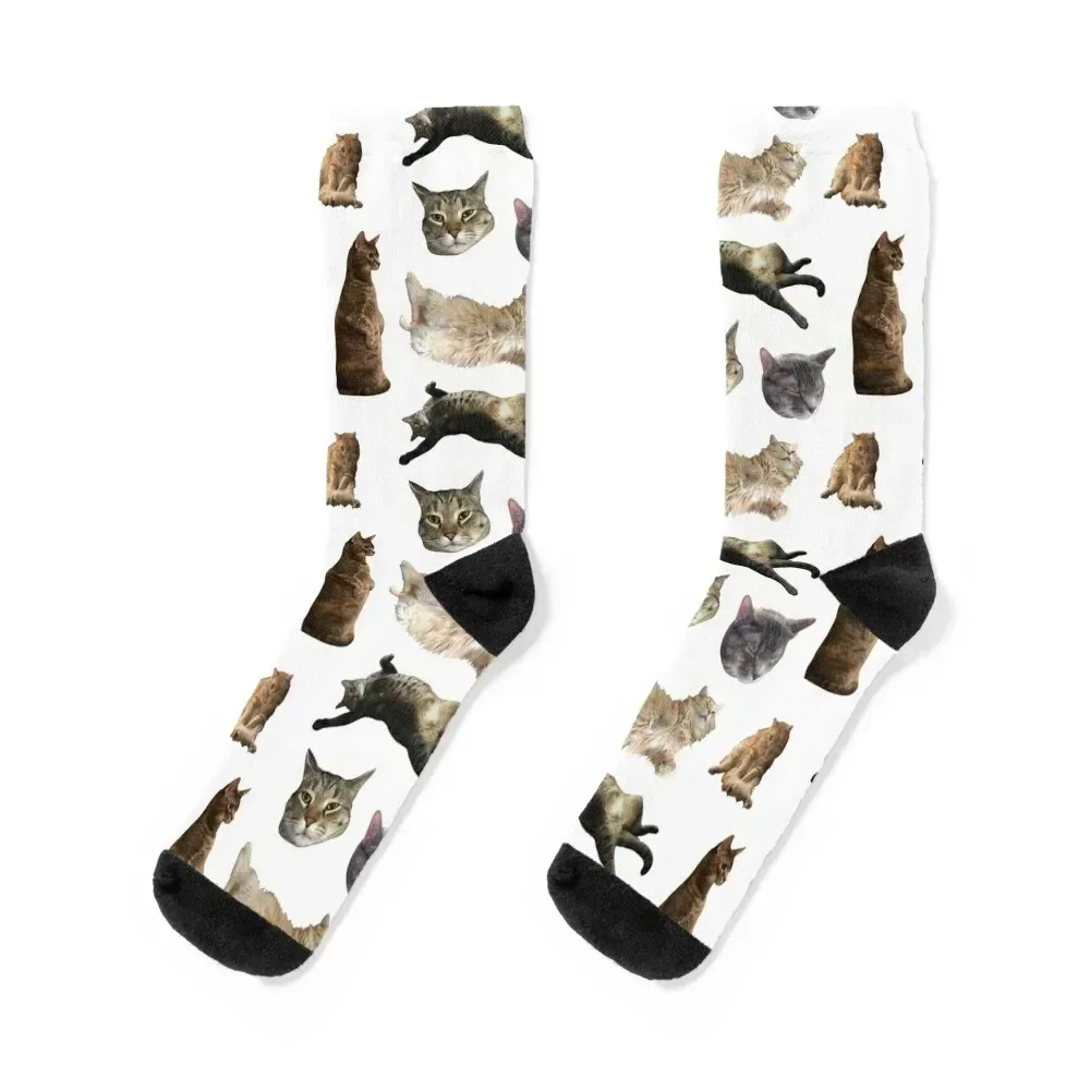 

My Cats Socks Novelties halloween Stockings man luxe Socks Man Women's Stockings fashionable christmass gift Socks Women's Men's