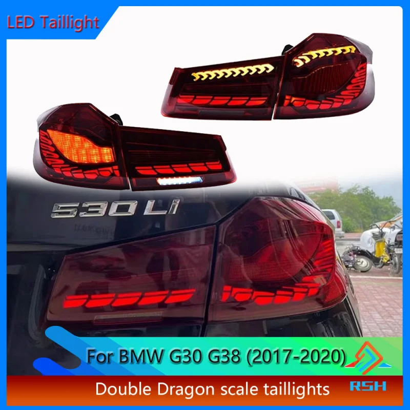 

Car Tail Light For BMW 5 Series G30 G38 Taillight Assembly 2018-2020 Modification New Double Dragon Scale Rear Lamp Accessories