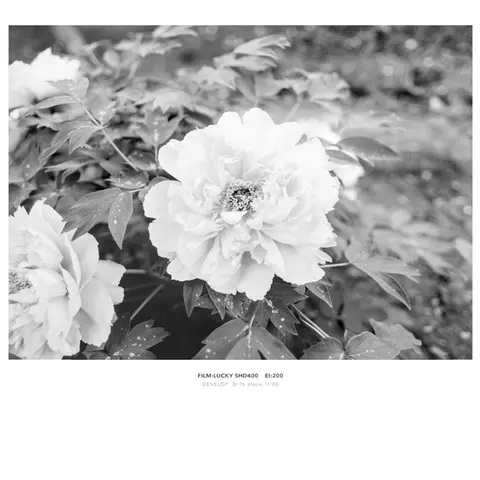 8 best sales फिल्म निगेटिव - №2