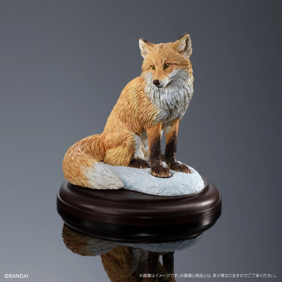 BANDAI ornamen asli resmi GASHAPON Rubah Merah Serigala ornamen berbentuk anjing Model figur aksi ensiklopedia biologi