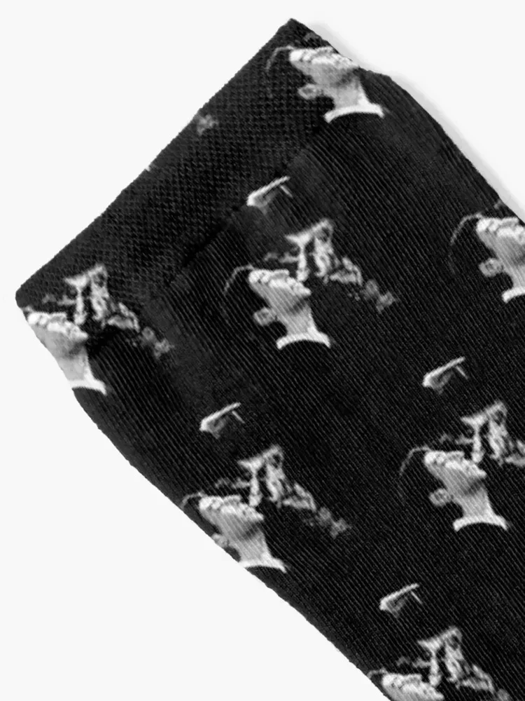 Serge Gainsbourgessentiel Socks Lots Running christmass gift christmas gifts Socks Woman Men's