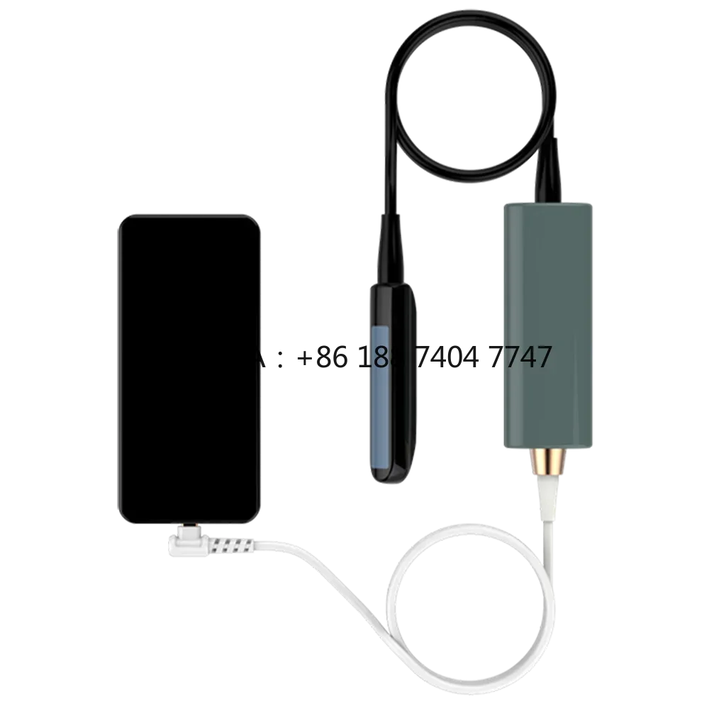 USB Veterinary Ultrasound System Portable For Cows Cattle Bovine Detection With Rectal Linear Probe