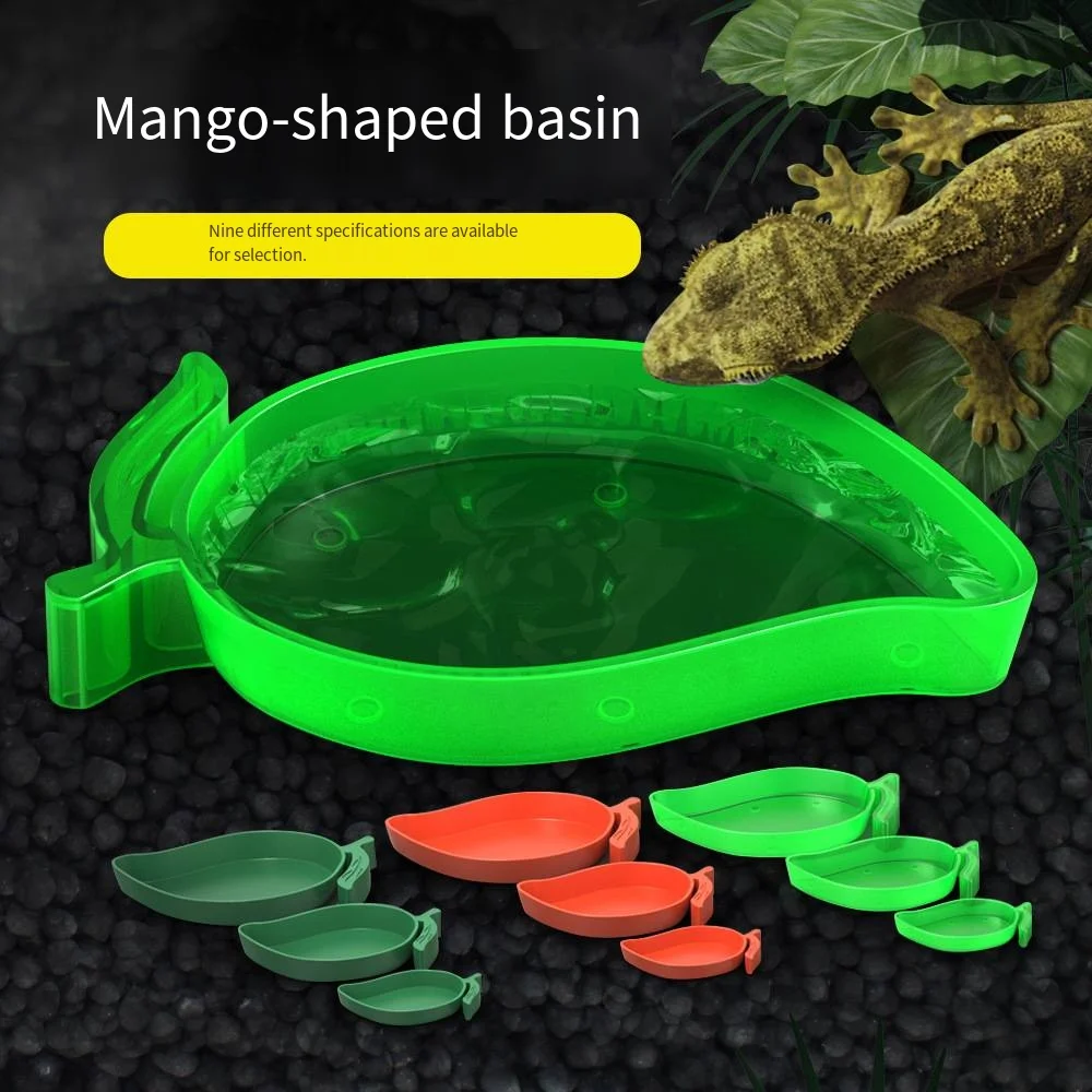 Pet Crawling Reptil…