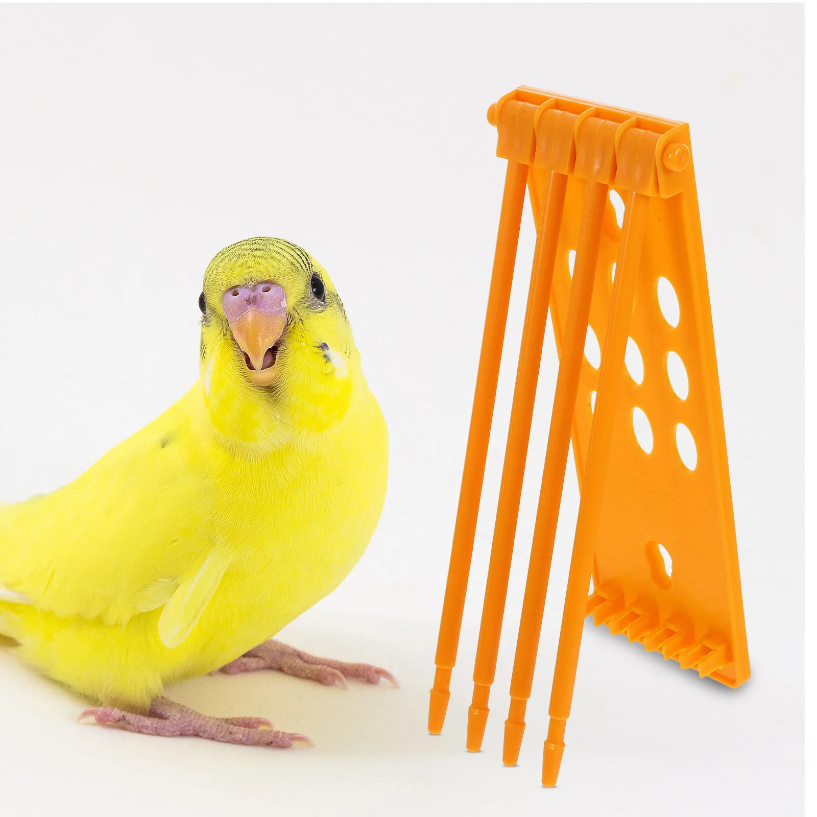 

4Pcs Pigeon Leg Ring Holder for Bird Identification Bands Easy Access Display Stand Poultry Chicken Quail Parrot Foot Ring