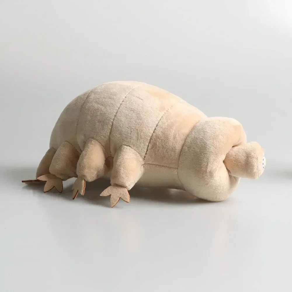 25 CM Carino Tardigrade Peluche Morbido Peluche Giocattolo Bella Orso D'acqua Insetto Bambola Giocattolo Educativo Per Bambini Ragazzi Regalo Di Compleanno